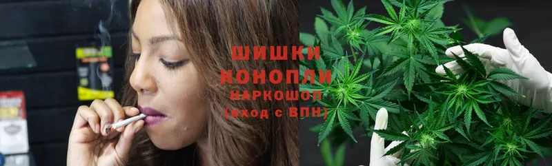 Бошки марихуана OG Kush  Юрьев-Польский 